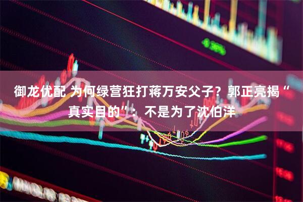 御龙优配 为何绿营狂打蒋万安父子？郭正亮揭“真实目的”：不是为了沈伯洋