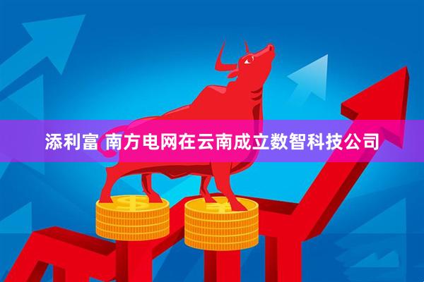 添利富 南方电网在云南成立数智科技公司