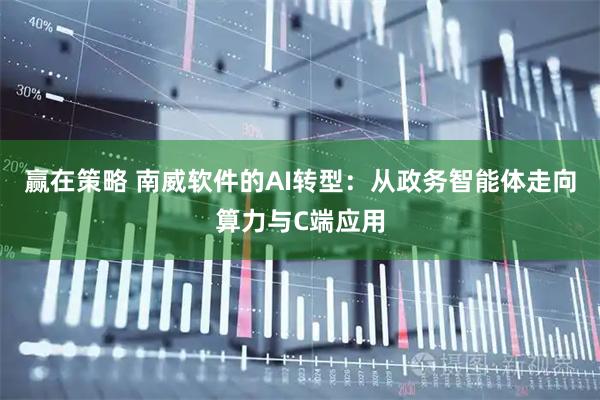 赢在策略 南威软件的AI转型：从政务智能体走向算力与C端应用