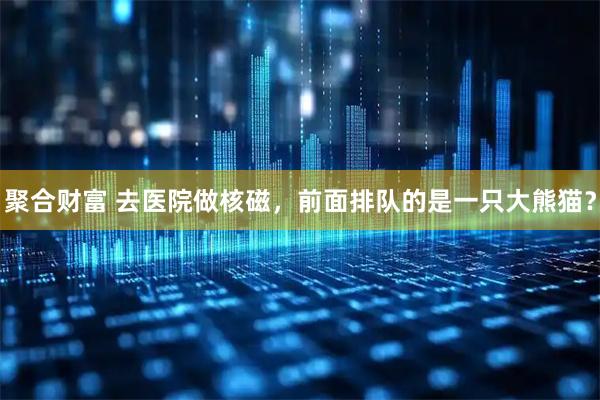 聚合财富 去医院做核磁，前面排队的是一只大熊猫？